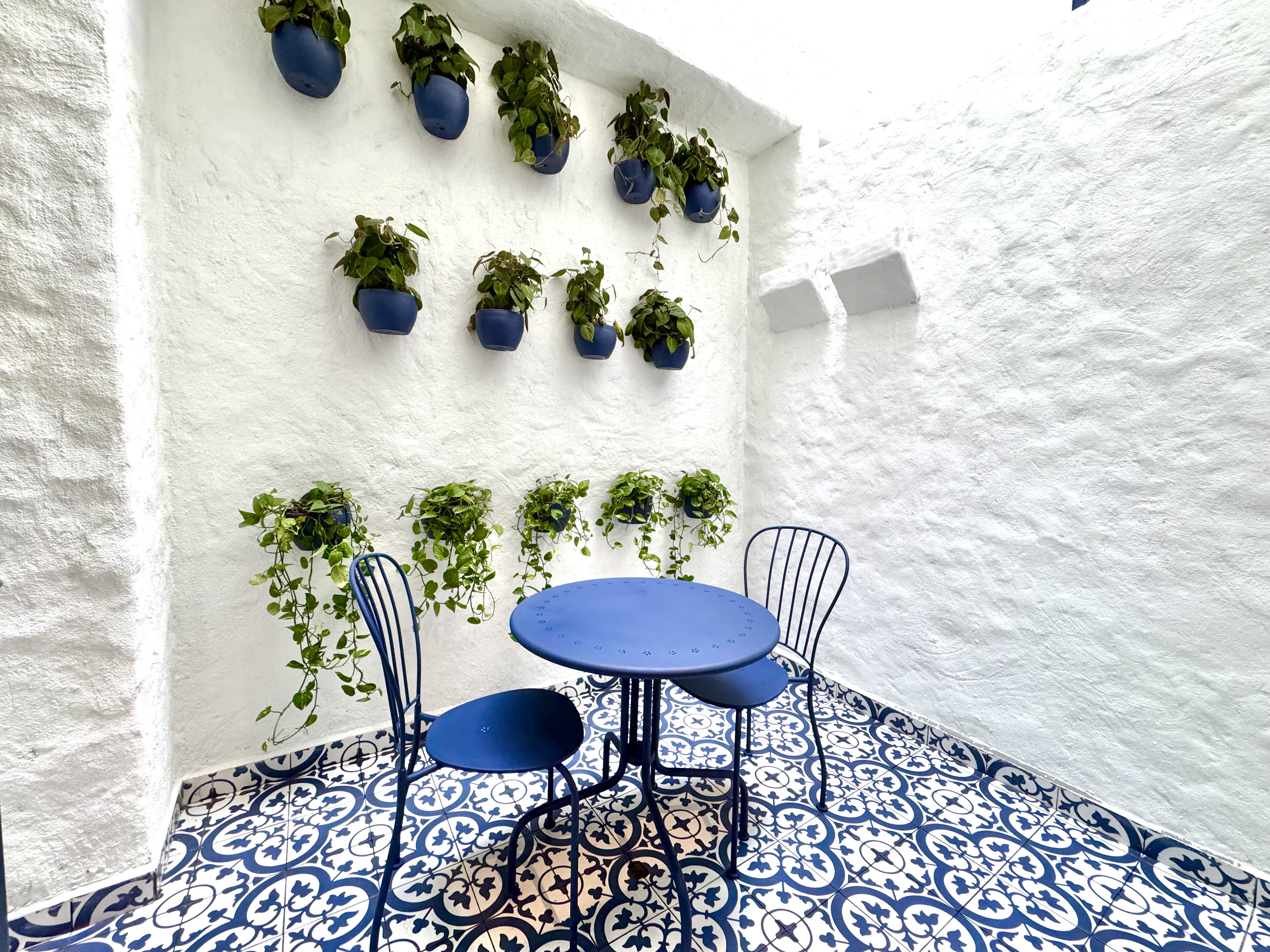 Terraza patio con azulejos y plantas